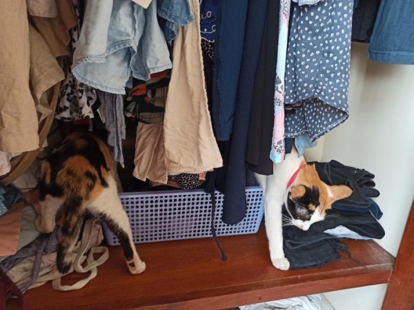 ����� �� �������