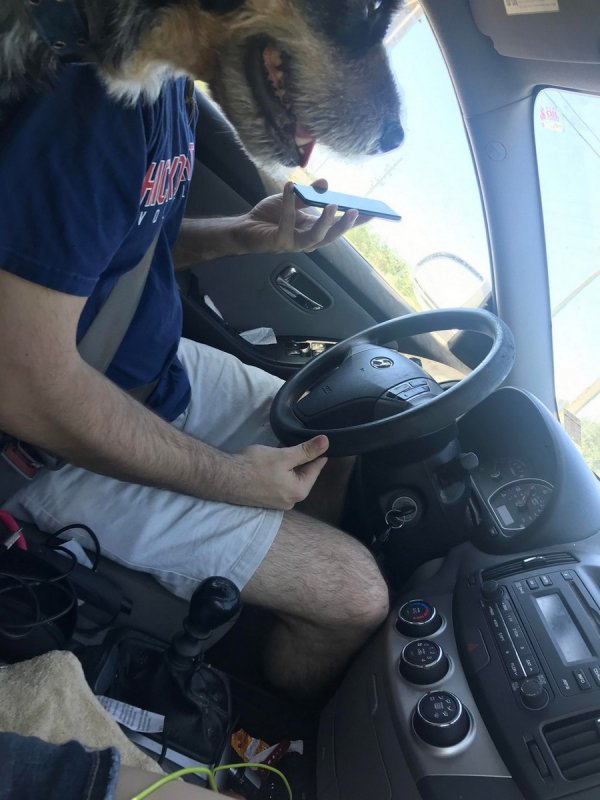 ����� �� �������