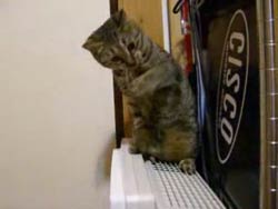 ���� � ���� ����������