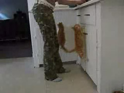 �� ���� ������� ������