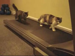 ���������� ������