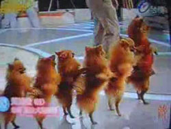 ���������� ������