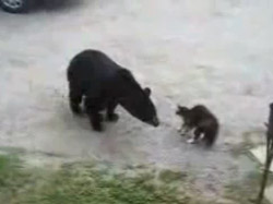 �� ���� �����������