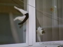 ����� �� �� �����