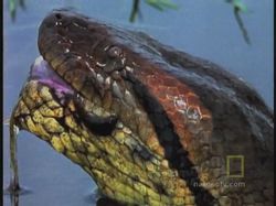 ����� �� �� �����