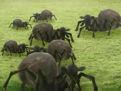 ������� �����