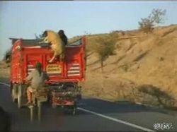 ������� � ���������� ������