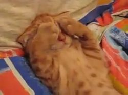 ������� � ���������� ������