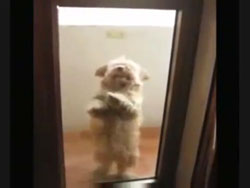 ����������