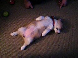 ����������