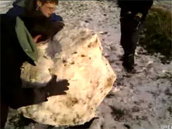 ����������