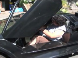 �������������