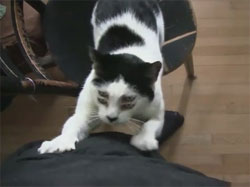 �������������