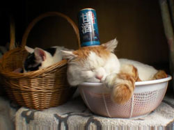 �������������